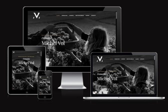 www.champagnevolmichel.com